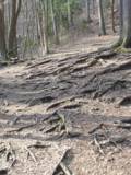 pot